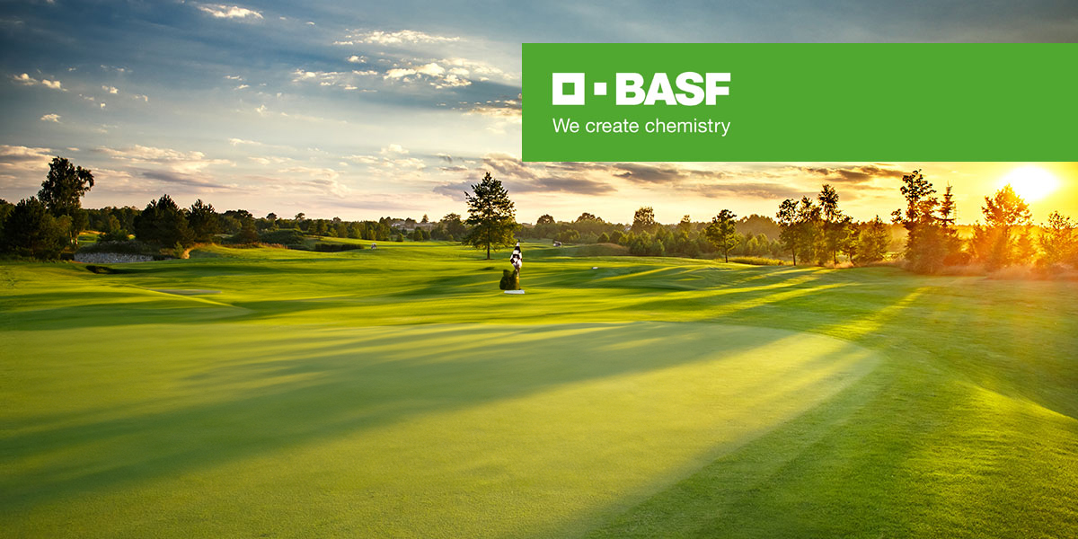 Learn More about our New Content