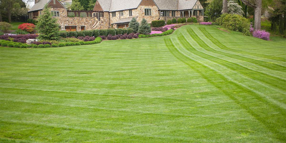 Market Category Page - Lawn Care