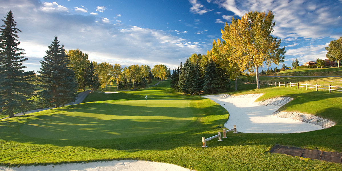 Turf colorants
