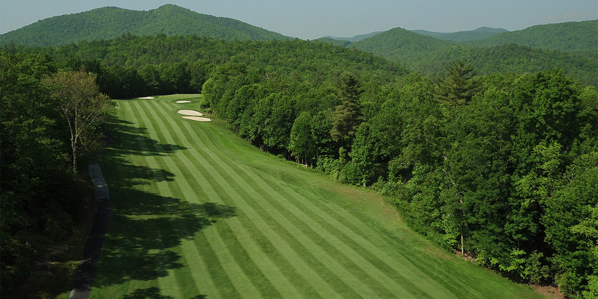 Turf and greenhouse nutrients