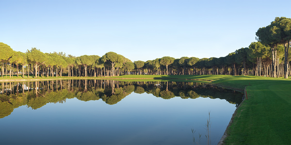 Land and Pond Management