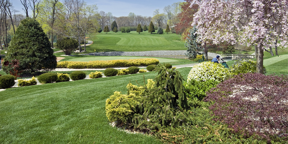 Segment® II Herbicide