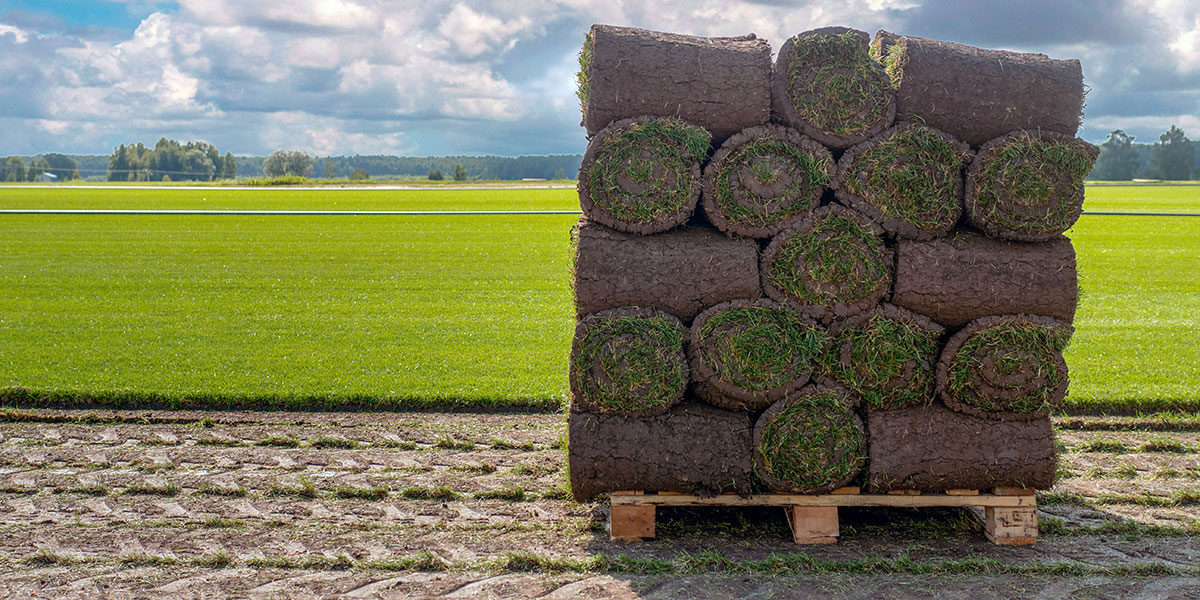 Sod Fungicides
