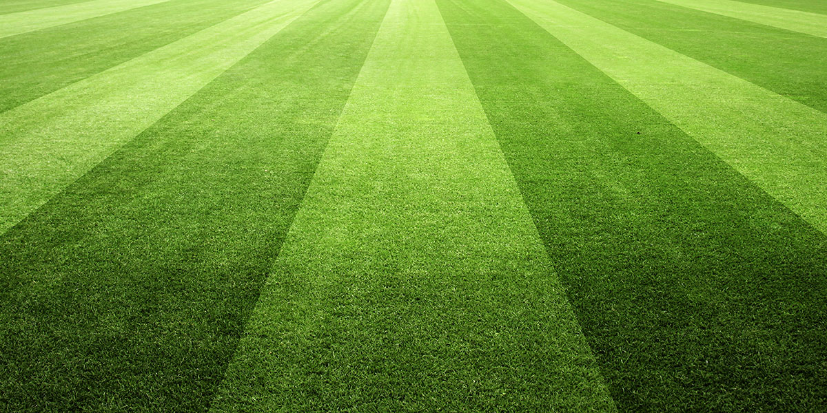 Sports Turf Herbicides