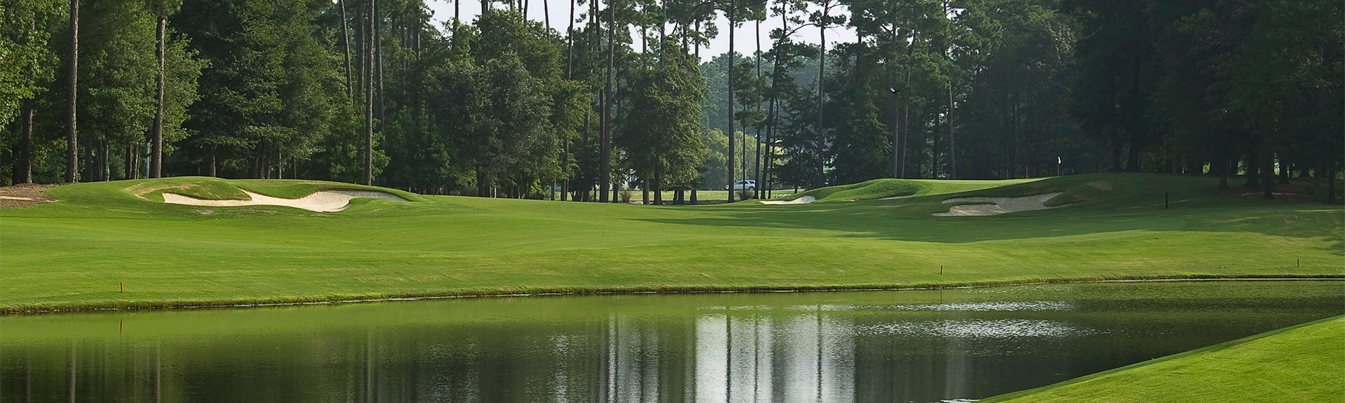 BLACK ONYX LAKE & POND COLORANT