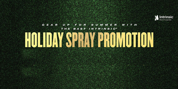 Holiday spray promotion