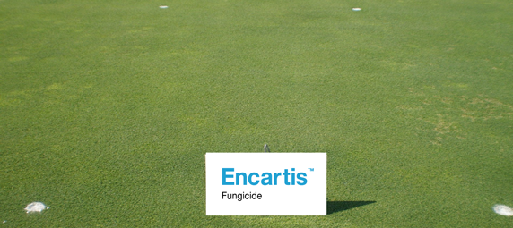 Image of a golf green with the banner Encartis