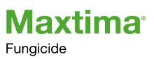 Maxtima logo