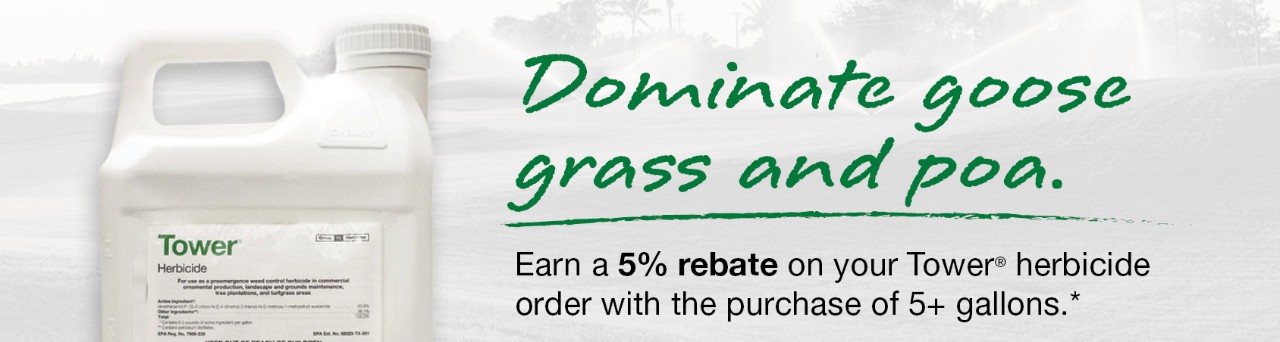 Dominate Goose grass and POA
