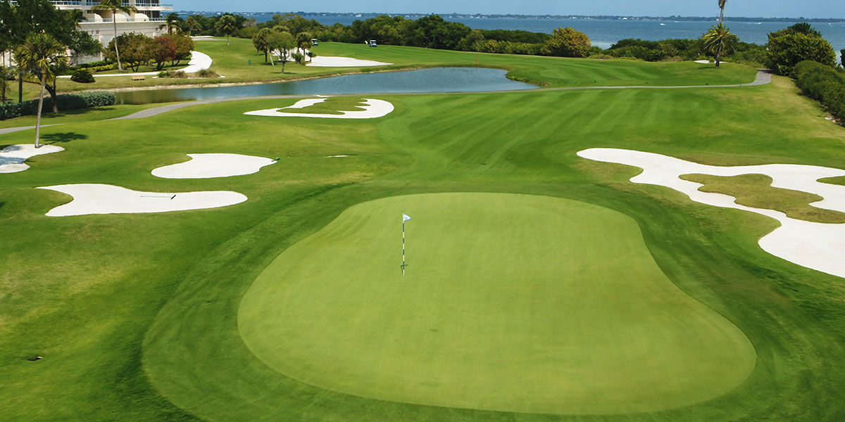 The grass doesn’t know what day it is - Longboat Key Club in south Florida