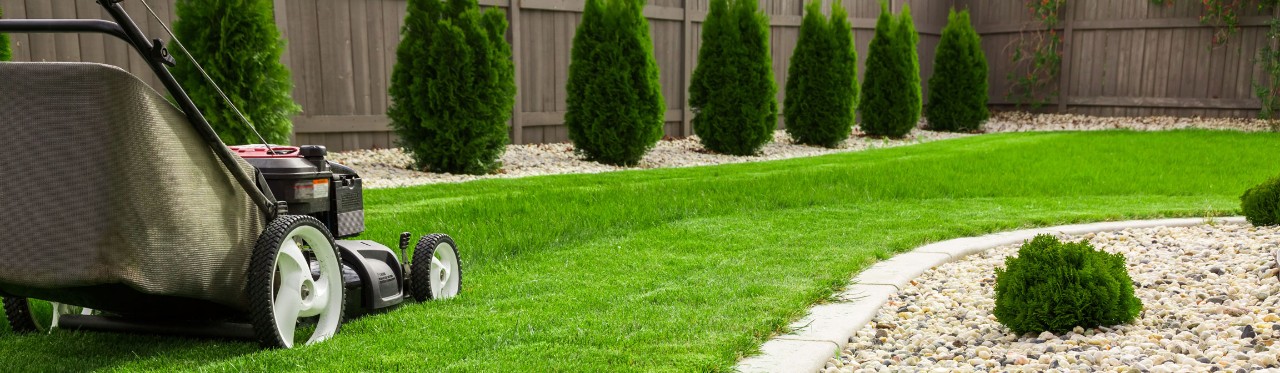 Lawn mower cutting green grass in backyard, mowing lawn