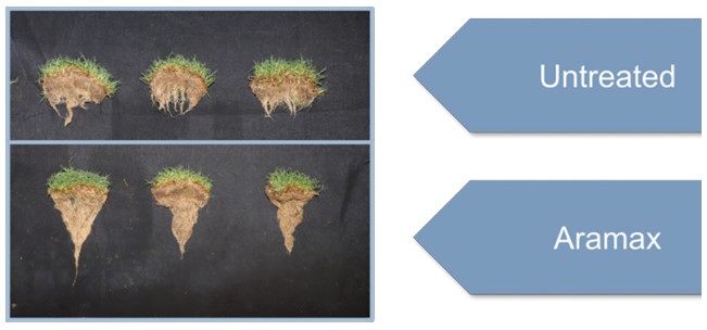 Untreated Vs Aramax
