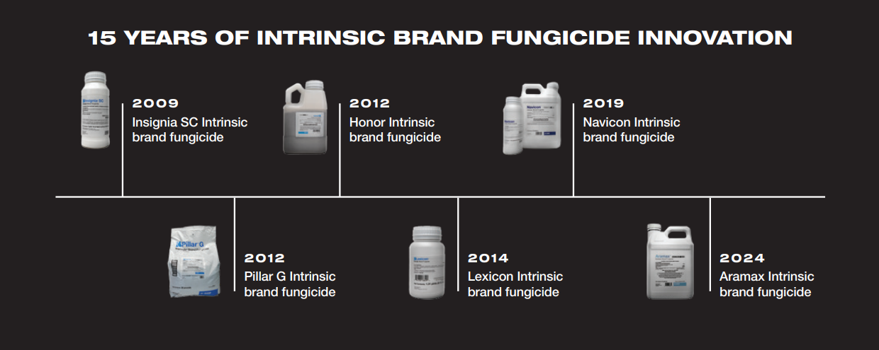 15 Years Of Intrinsic