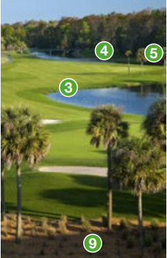 Image of a golf course pin pointing the areas where Finale XL T and O can be applied